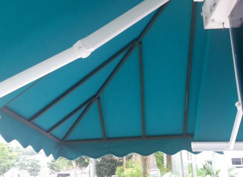 Canvas canopy 8